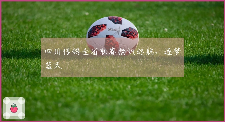 四川信鸽全省联赛扬帆起航，逐梦蓝天