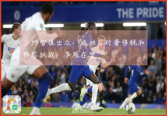 少帅智谋出众，成功应对奢侈税和阵容挑战，争冠在望